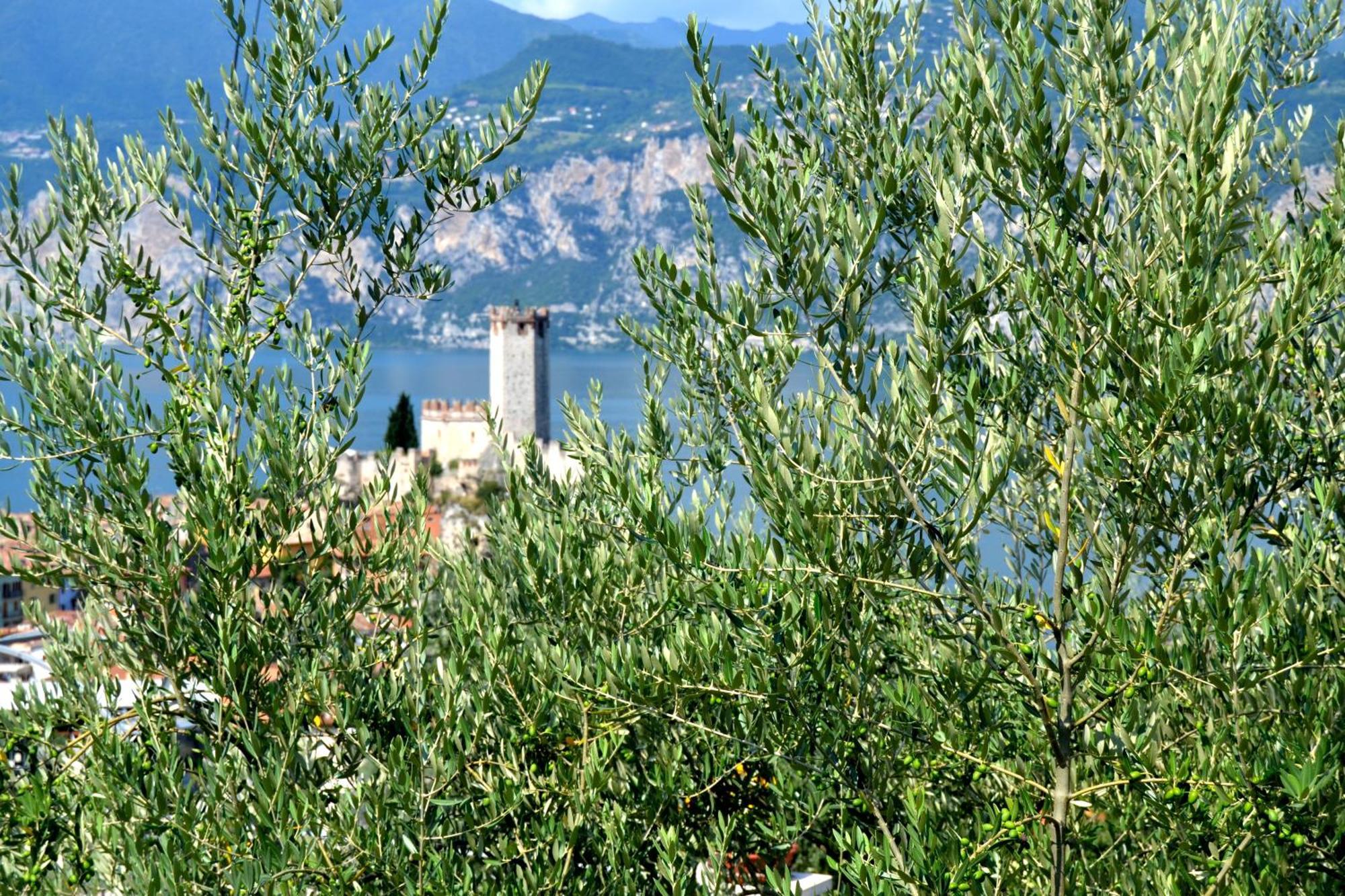 Appartamenti La Perla Malcesine Dış mekan fotoğraf